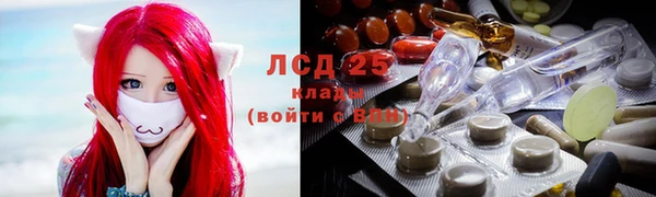 кокс Алексин