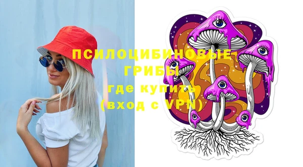 кокс Алексин