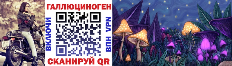 Галлюциногенные грибы Psilocybine cubensis  Сергач 